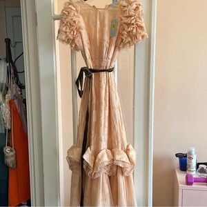 NWT Antonio melani Peach formal dress